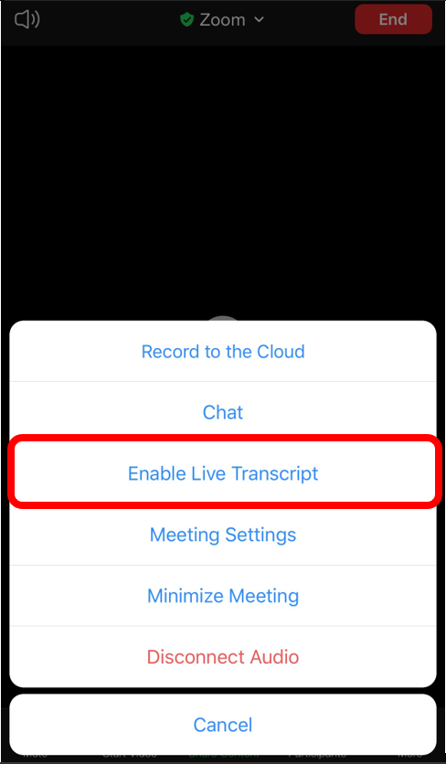"Enable Live Transcripts" is the third option under the More button.