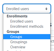 The drop-down menu picture with a highlighted in blue option of Groups 