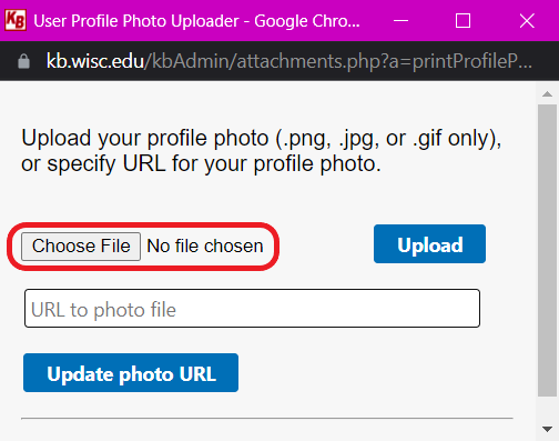 The "Choose File" button is the first button on the pop-up window.