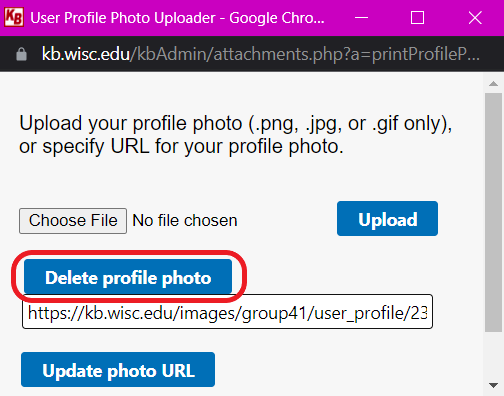 The "Delete profile photo" will appear below the "Choose file" and "Upload" buttons